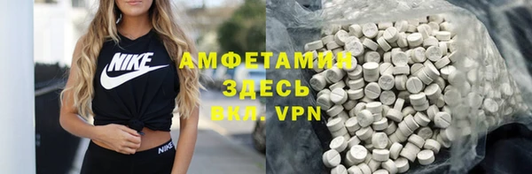 индика Кулебаки