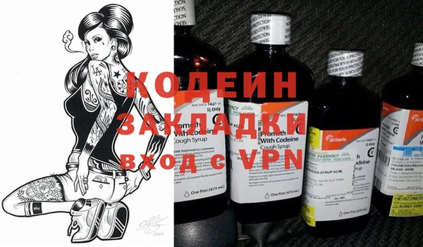 индика Кулебаки
