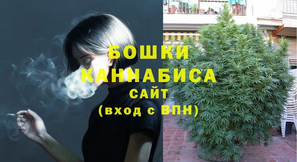 молекула духа Лагань