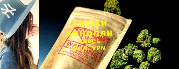 индика Кулебаки